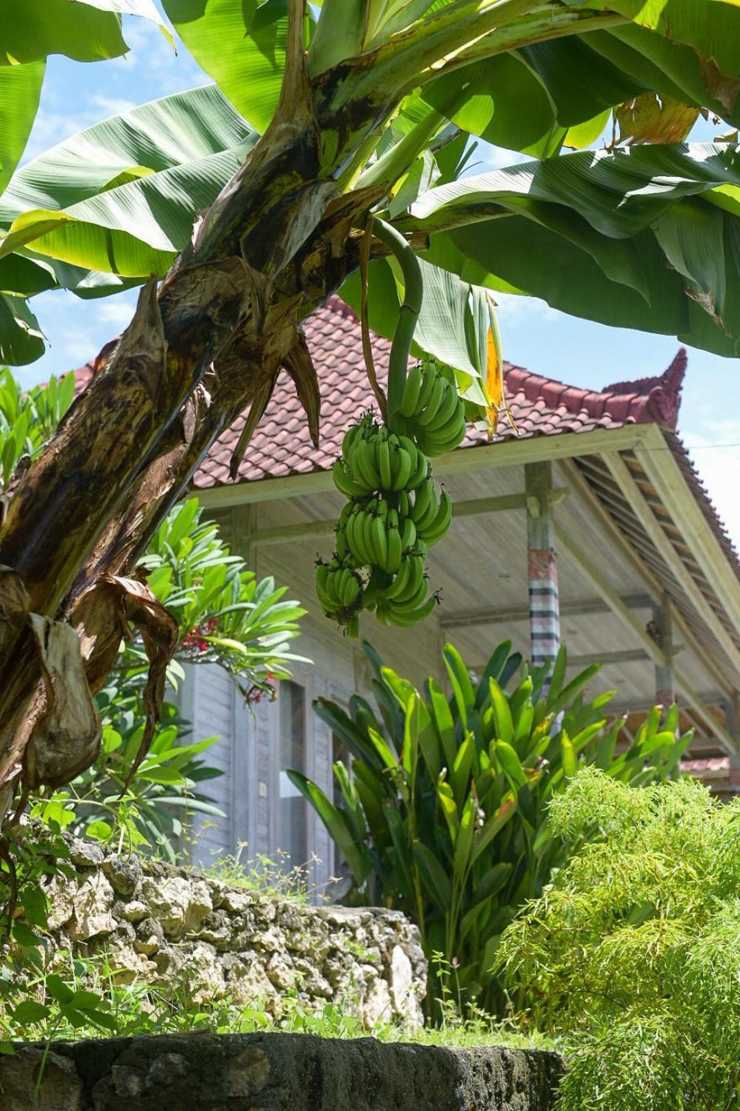 Mesari Hut Lembongan Hotel Exterior photo